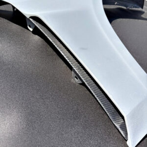 CARBON FENDERS